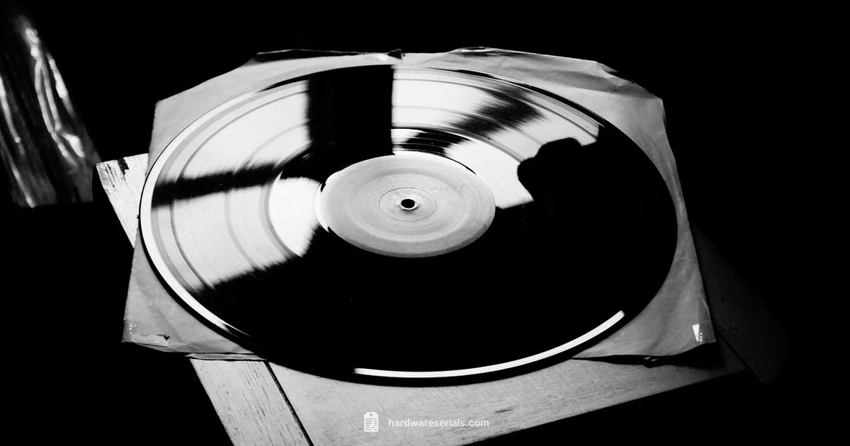 VIN Lookup Guide - Hardware Serials