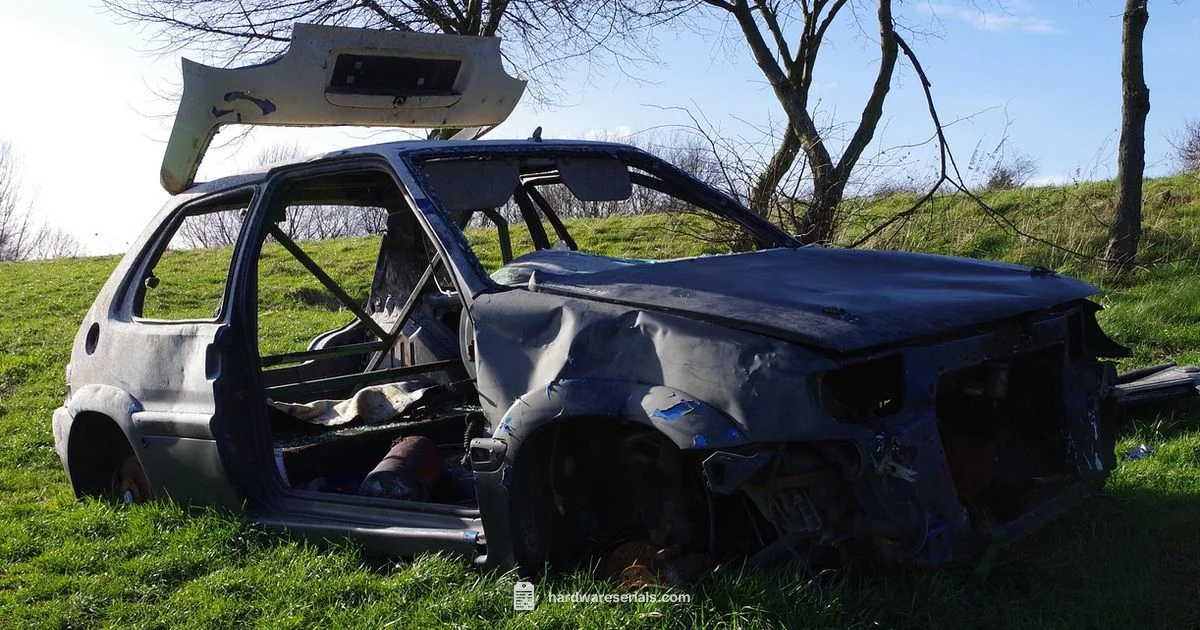 VIN Theft Response - Hardware Serials