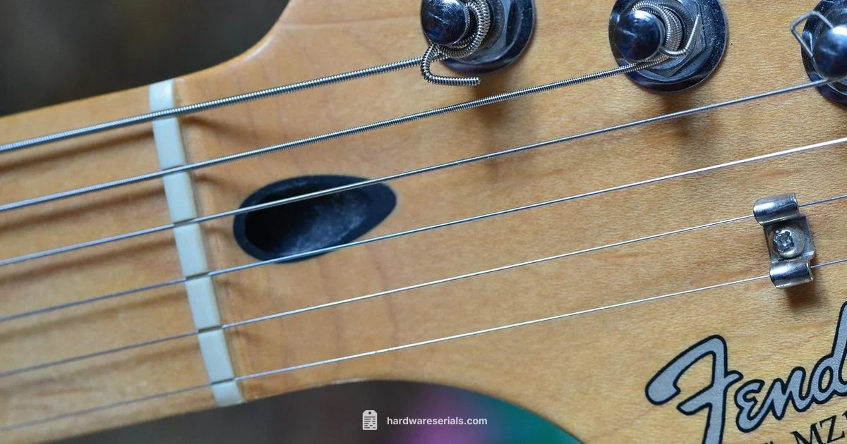 Fender Serial Lookup - Hardware Serials