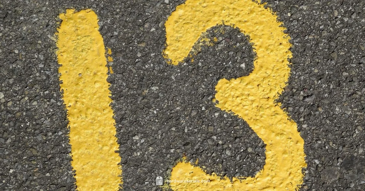 VIN Decoding Basics VIN Decoding Basics - Hardware Serials