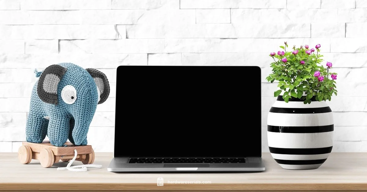 Mac Serial Insights Mac Serial Insights - Hardware Serials