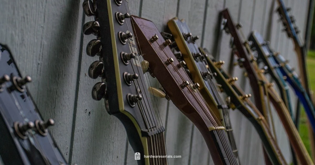 Guitar Serial Lookup Guitar Serial Lookup - Hardware Serials