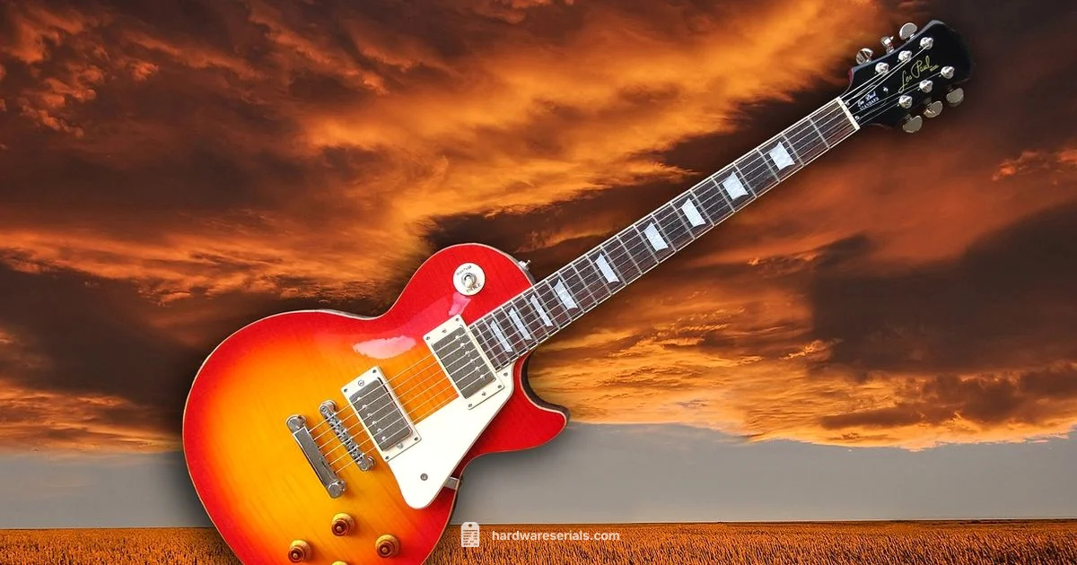 Gibson Serial Lookup - Hardware Serials