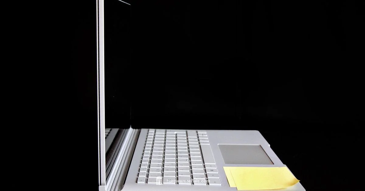 Surface Serial - Hardware Serials