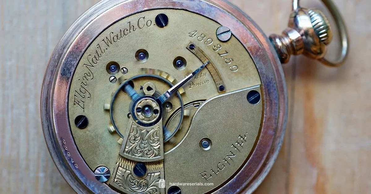 Waltham Serial Value - Hardware Serials