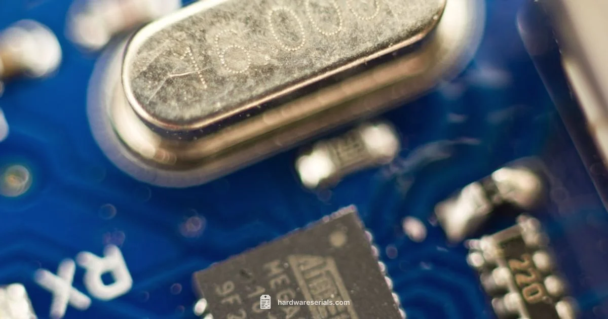 Serial Numbers Demystified - Hardware Serials