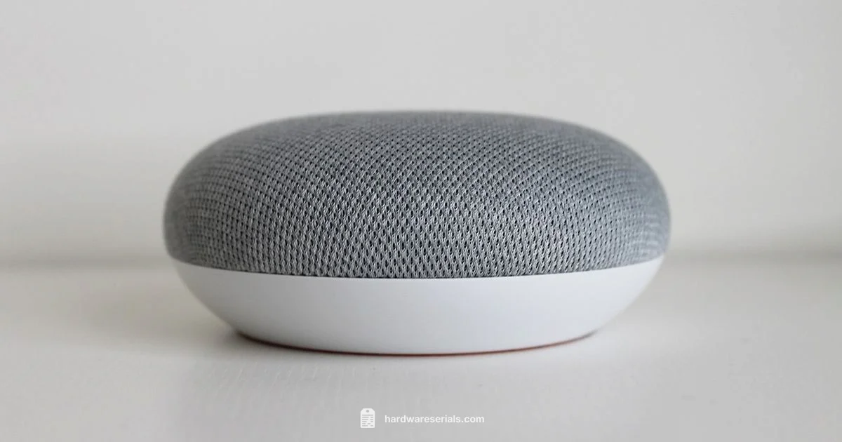 Google Home Serial Guide Google Home Serial Guide - Hardware Serials