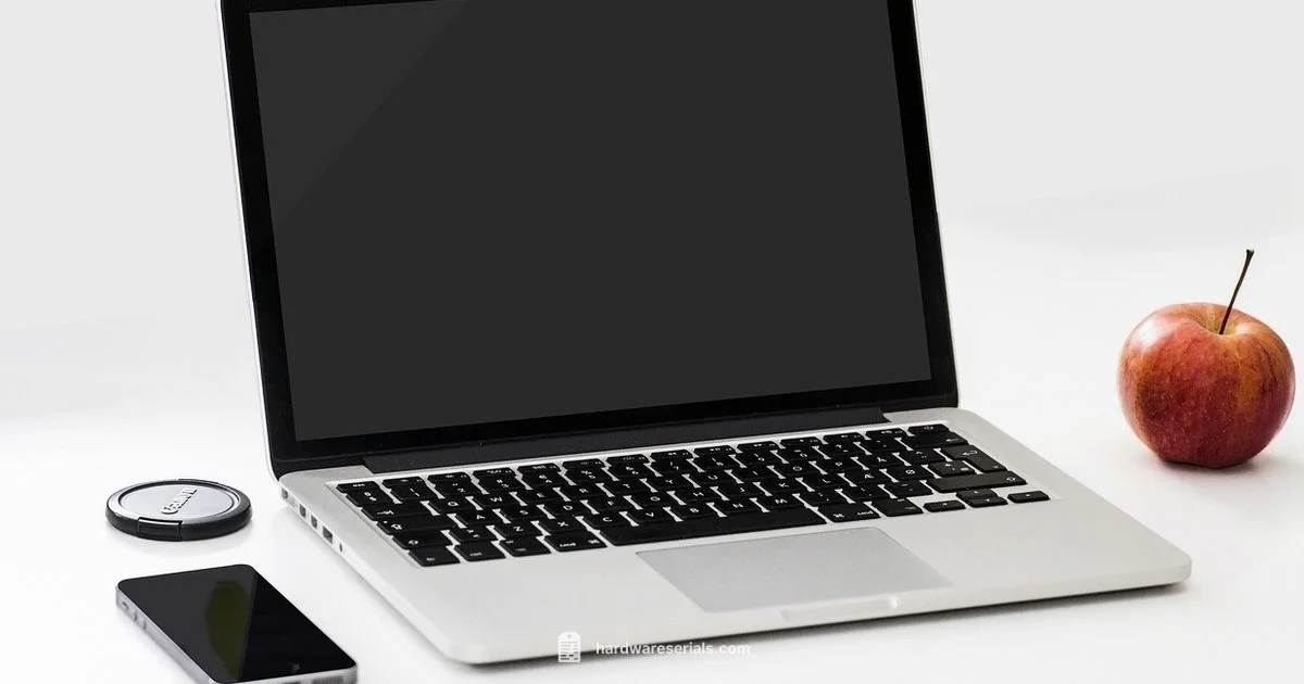 Serial Safety - Hardware Serials