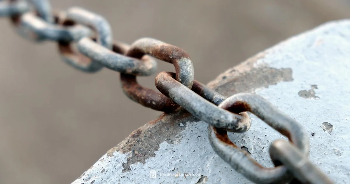 Serial Number Basics Serial Number Basics - Hardware Serials