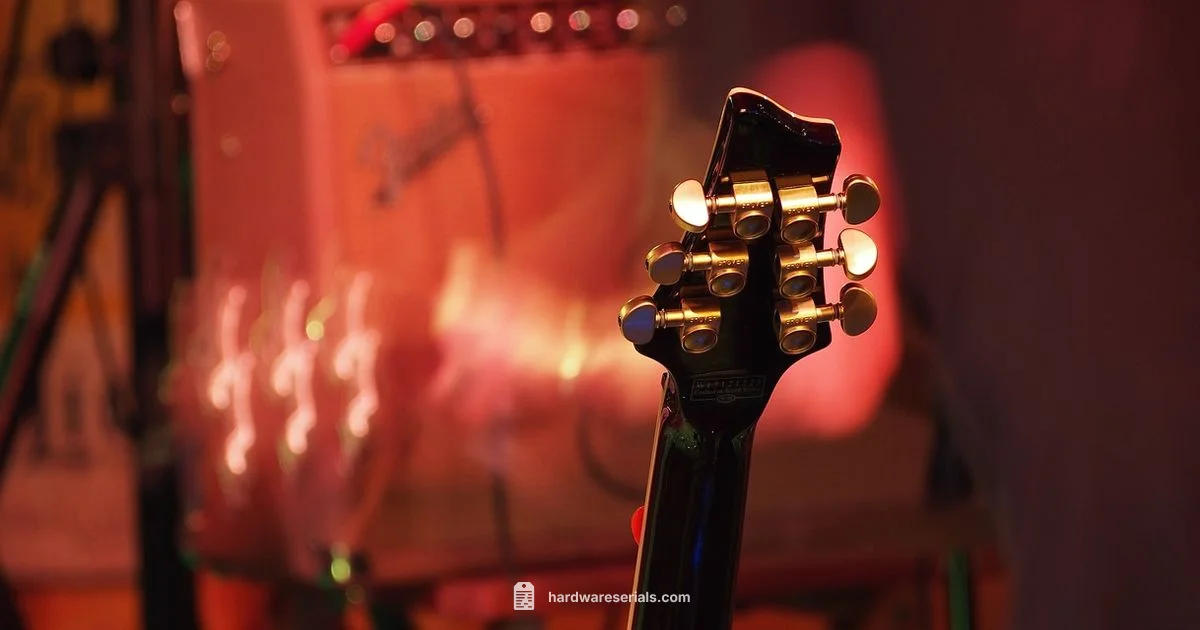 Gibson Serial Decoding - Hardware Serials