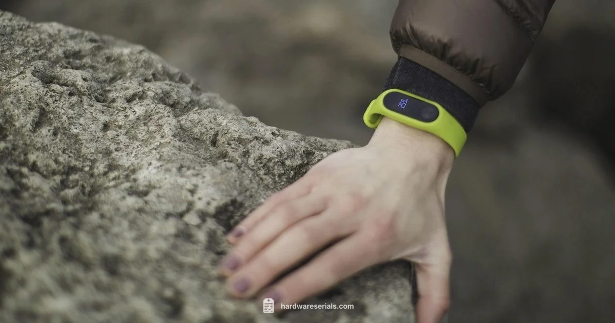 Find Fitbit Serial - Hardware Serials