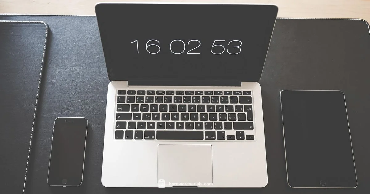 iPhone Serial Lookup - Hardware Serials