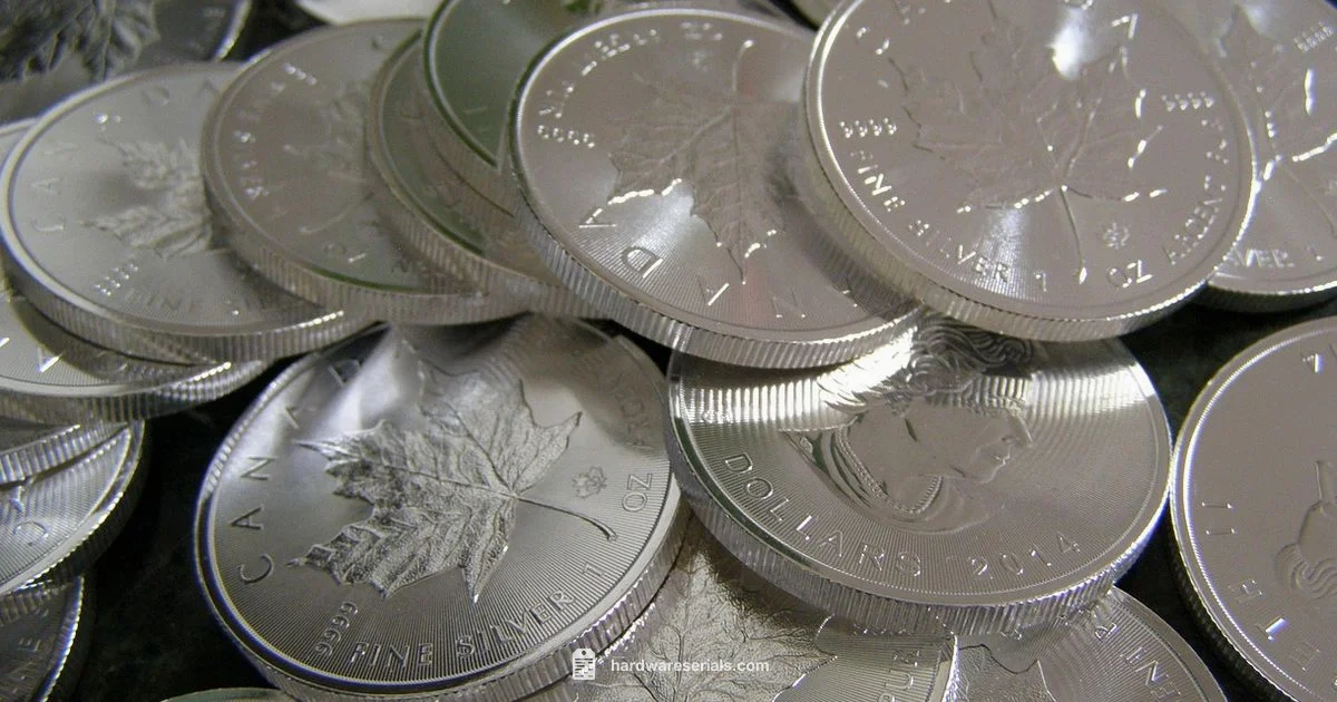 Serial Check - Hardware Serials