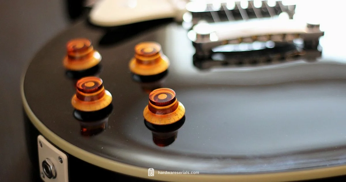 Epiphone Serial Decoder - Hardware Serials