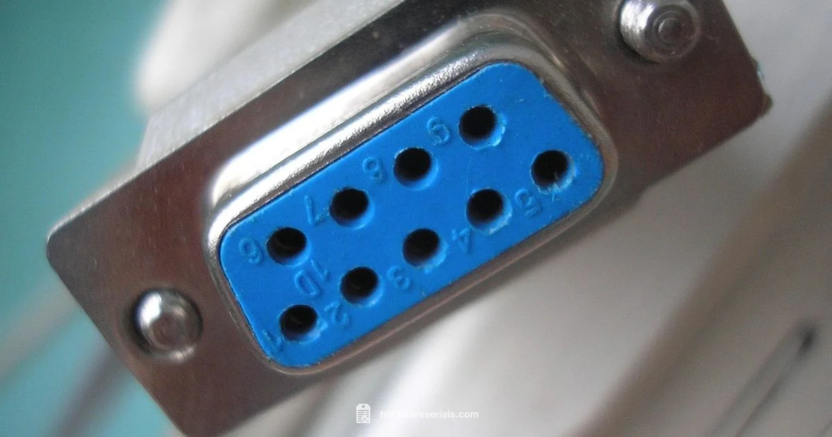 PC Serial Lookup - Hardware Serials