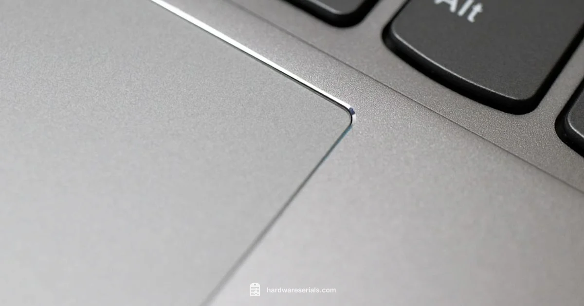 Laptop Serial Look - Hardware Serials