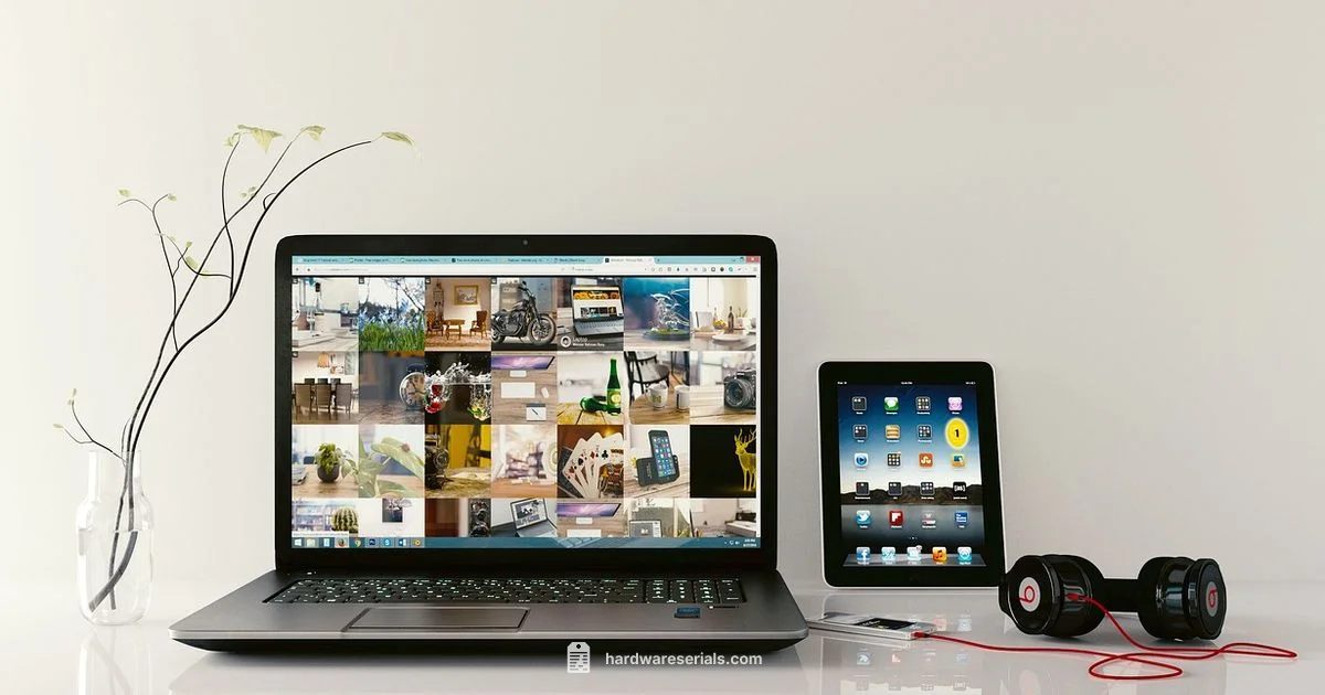 Find Your Laptop Serial - Hardware Serials