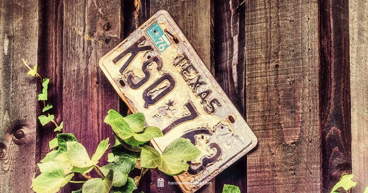 VIN Legal Guide - Hardware Serials