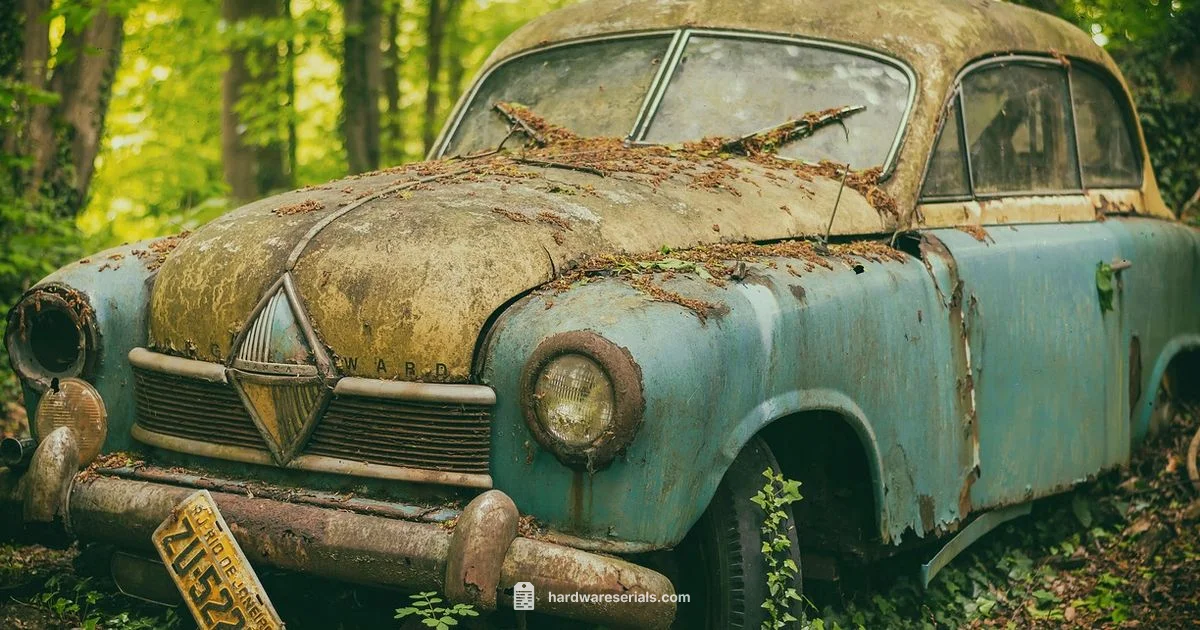 VIN Lookup Guide - Hardware Serials