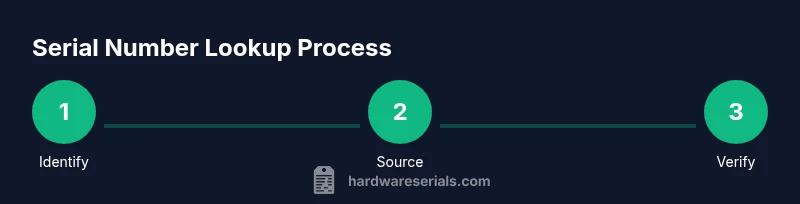 Process diagram showing serial number lookup steps