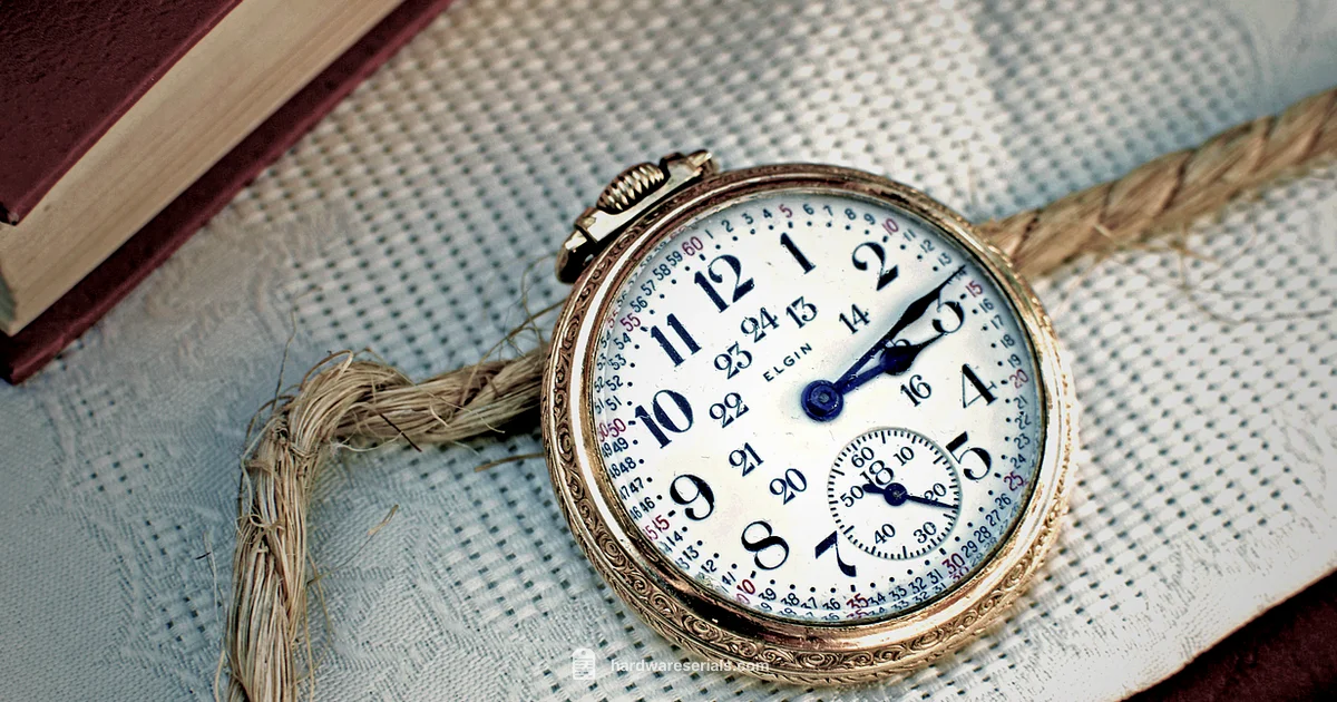 Serial Insight - Hardware Serials