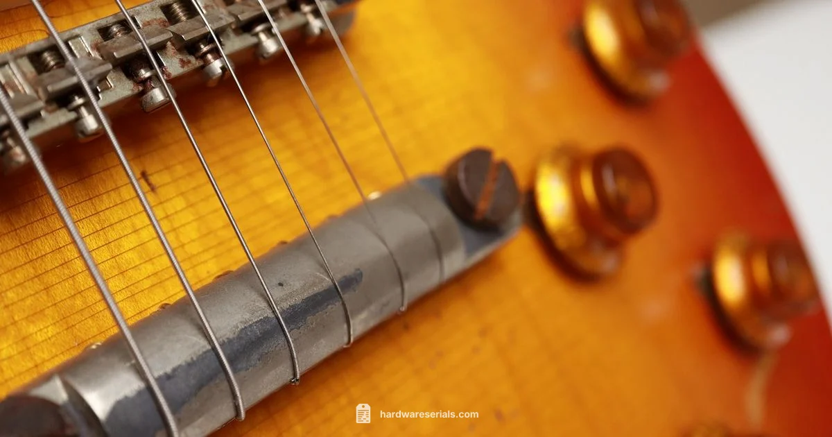 Les Paul Serial Lookup Les Paul Serial Lookup - Hardware Serials