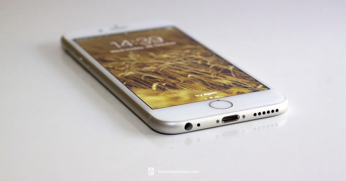 Serials Check - Hardware Serials