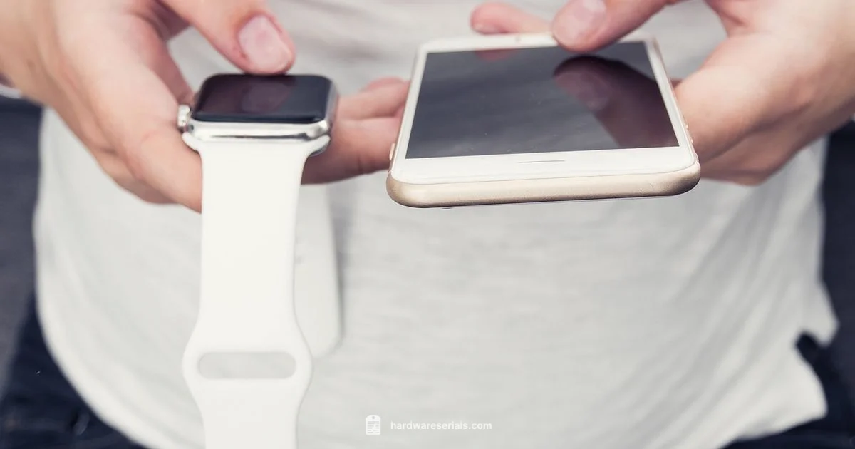 Apple Watch Serial Lookup - Hardware Serials