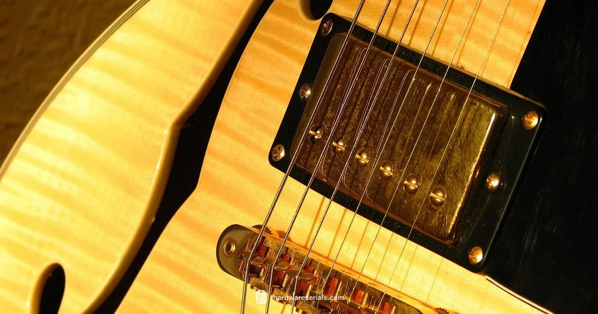 Martin Serial Lookup - Hardware Serials