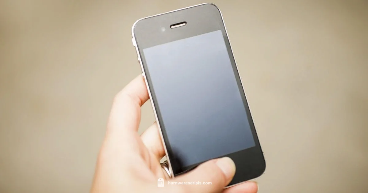 Serial Safety Serial Safety - Hardware Serials