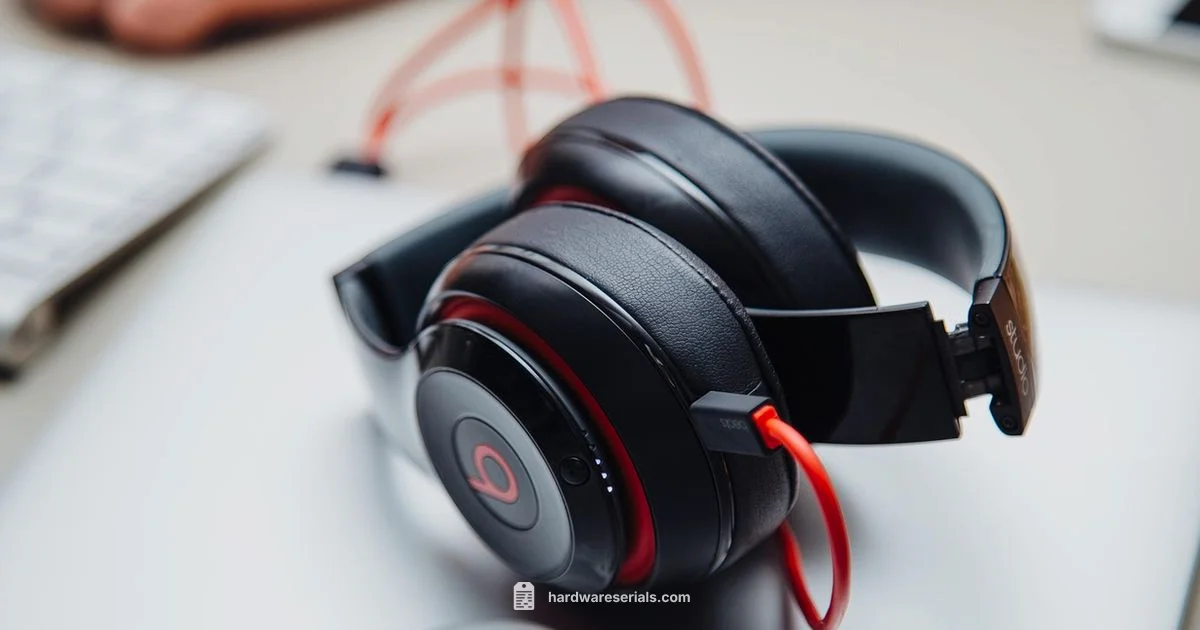 Beats Serial Check Beats Serial Check - Hardware Serials