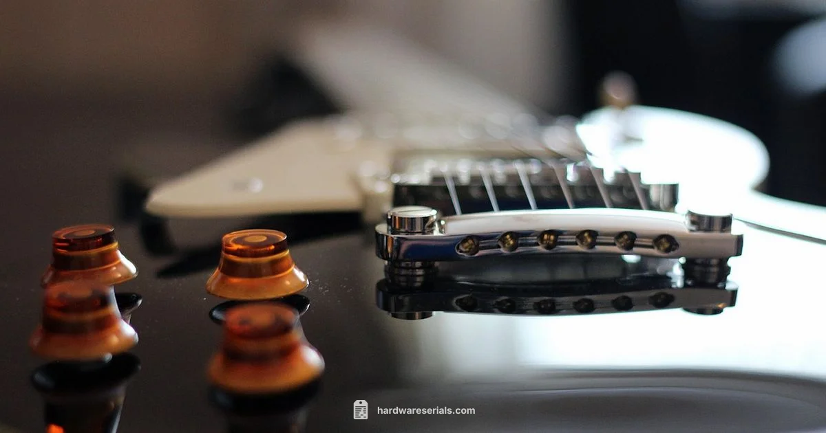 Epiphone Serial Lookup - Hardware Serials