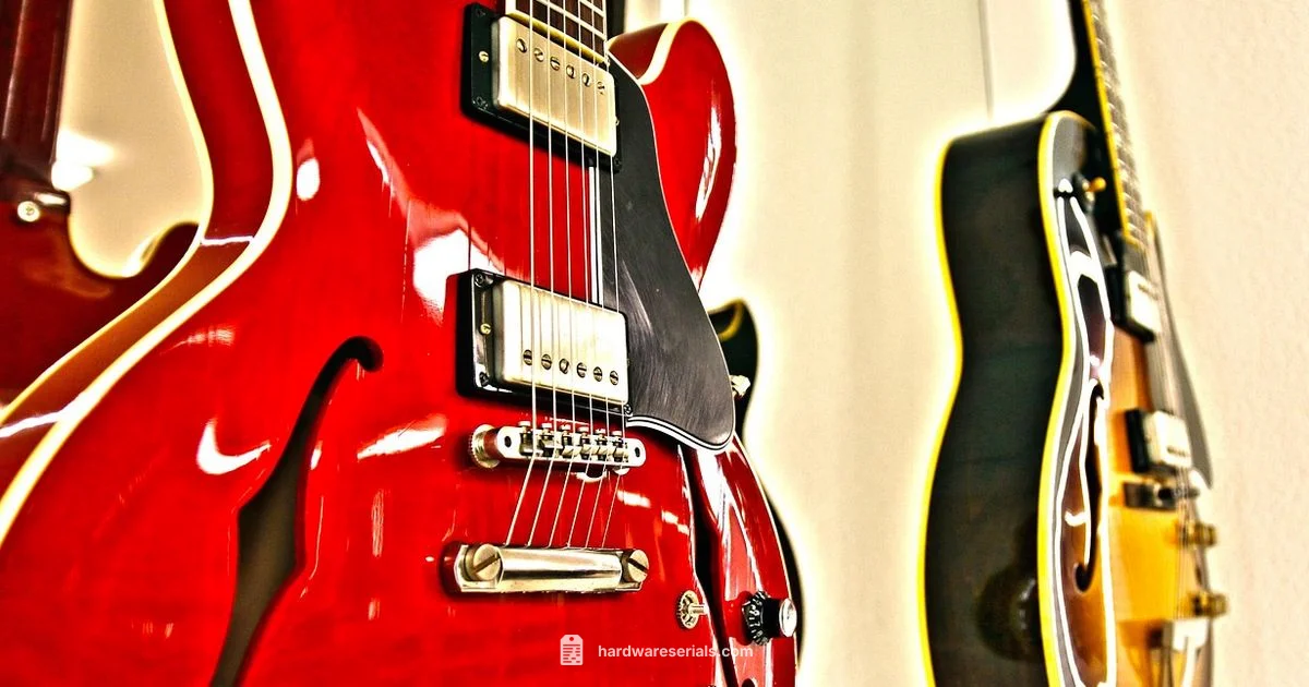 Gibson Serial Decoder Gibson Serial Decoder - Hardware Serials