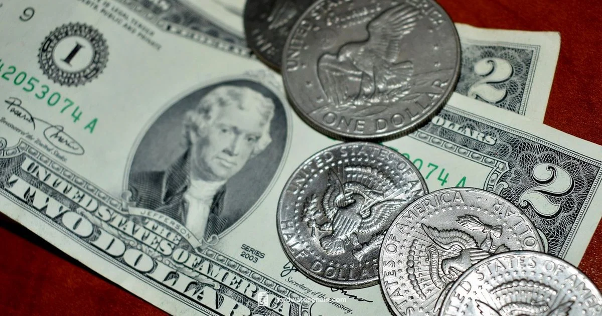 Dollar Serial Lookup - Hardware Serials