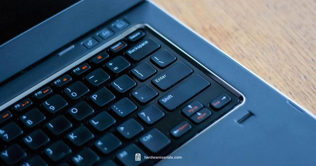 Keyboard Serial Lookup - Hardware Serials