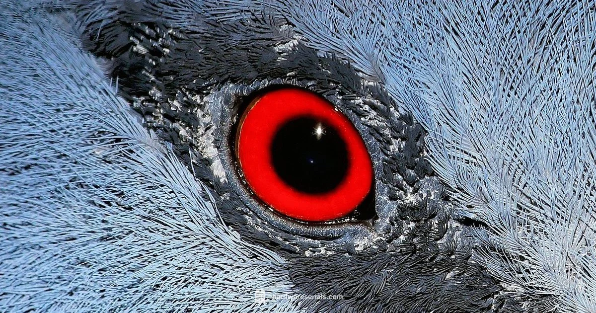 Money Serial Numbers - Hardware Serials