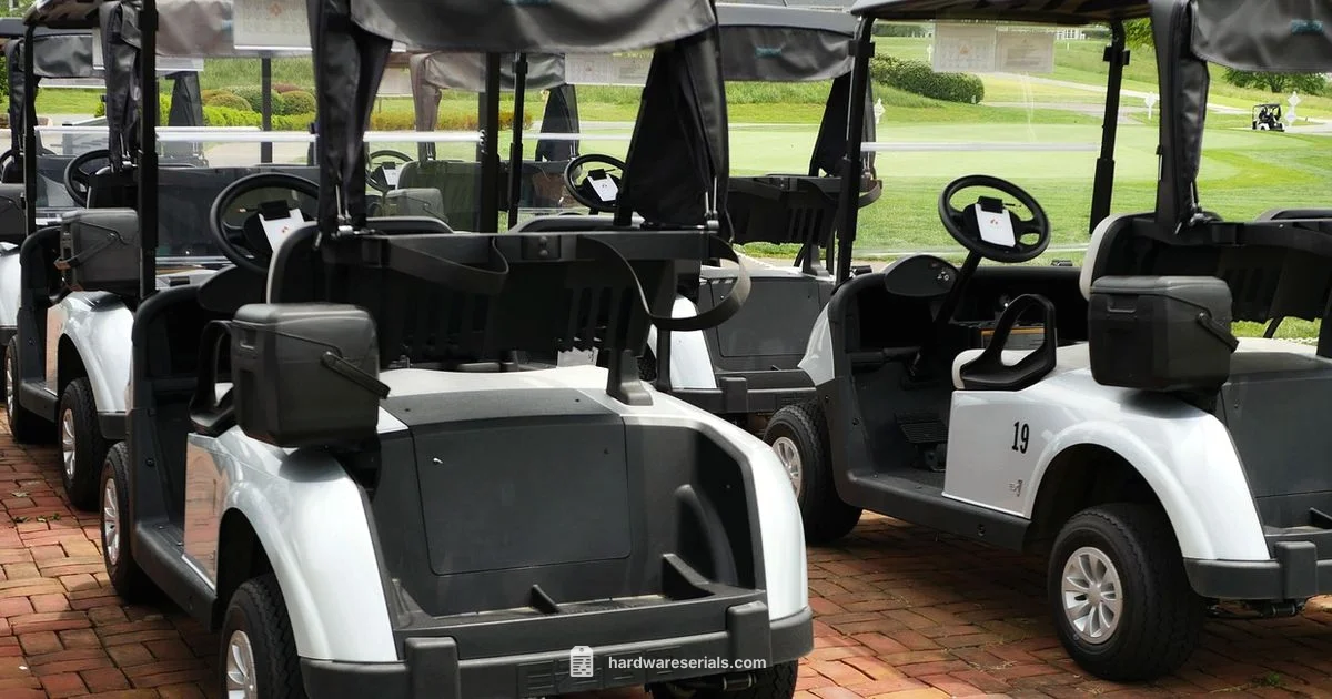 EZGO TXT Serial Lookup - Hardware Serials