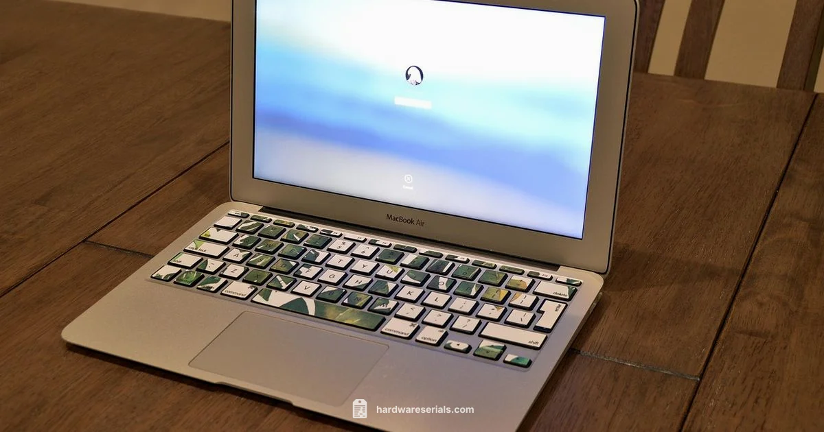 Mac Air Serial Check - Hardware Serials