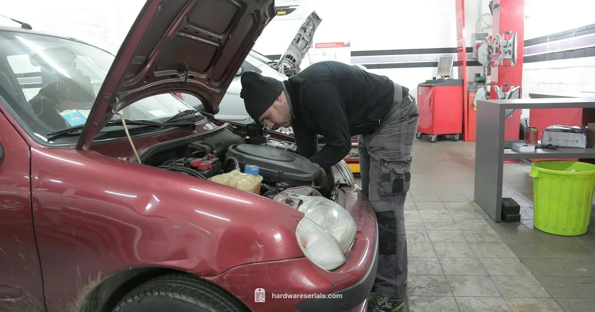 Mercury Engine Serial Search - Hardware Serials