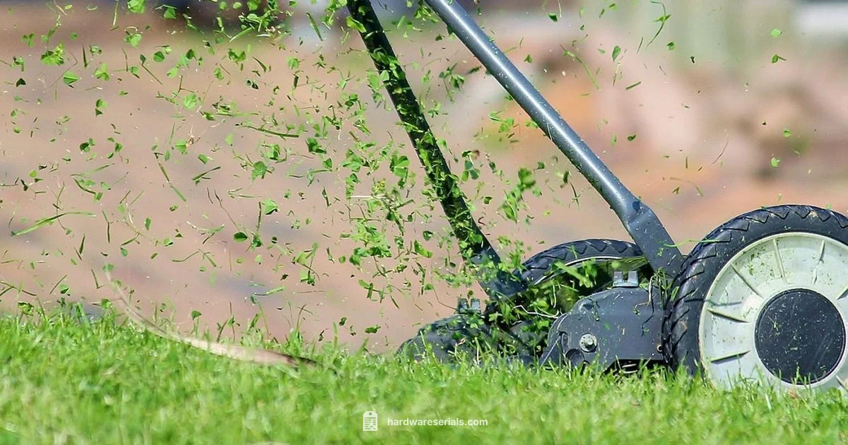 Serial Lookup Guide - Hardware Serials