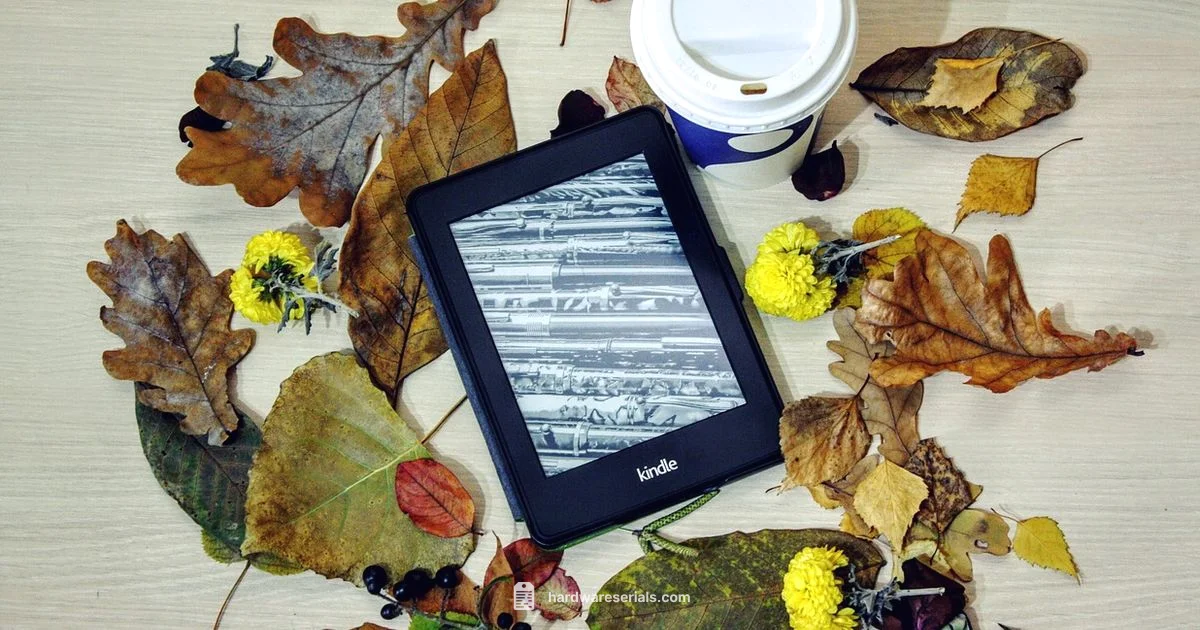 Kindle Fire Serial - Hardware Serials