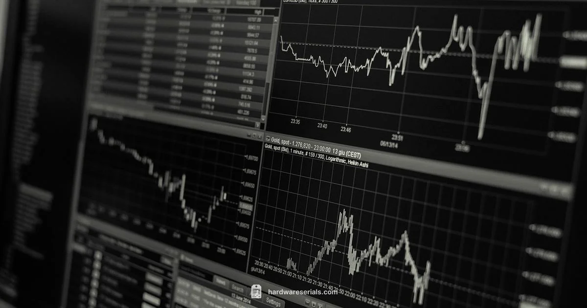 Serial vs Model - Hardware Serials