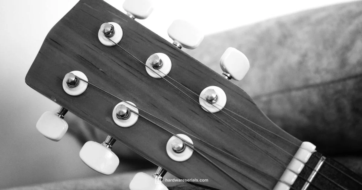 Epiphone Year Dating Epiphone Year Dating - Hardware Serials