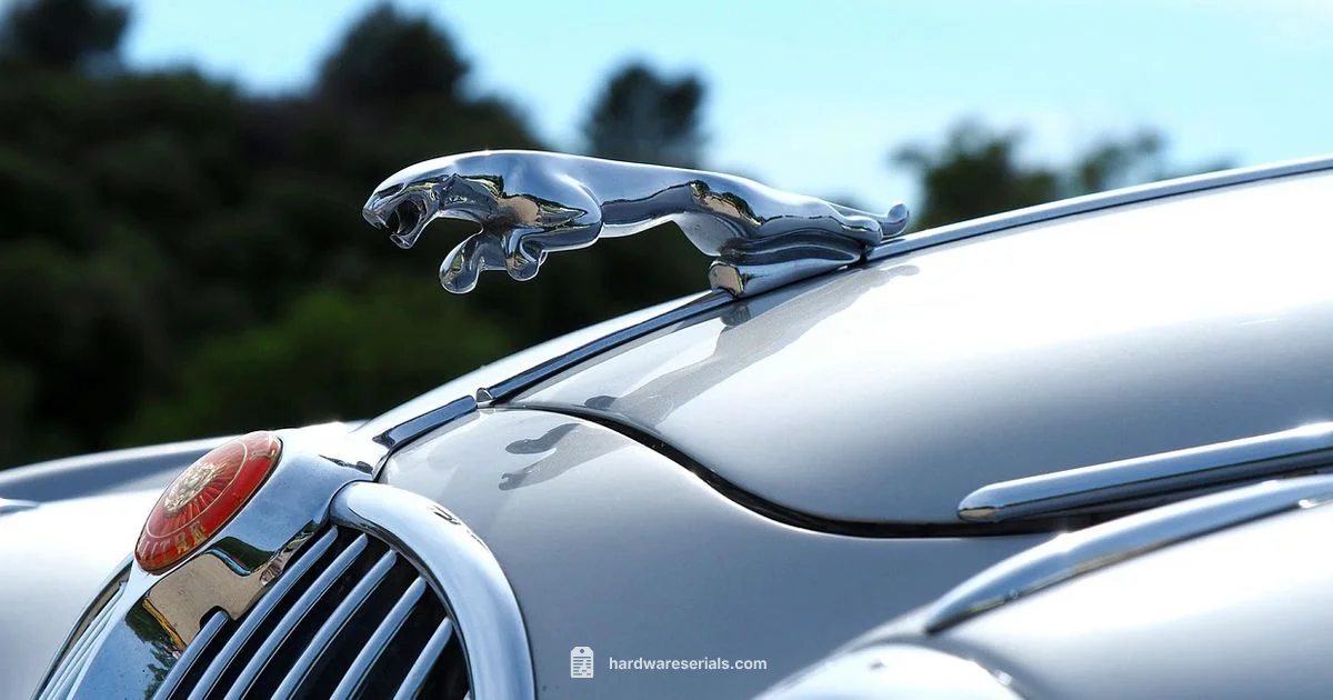 VIN Basics - Hardware Serials