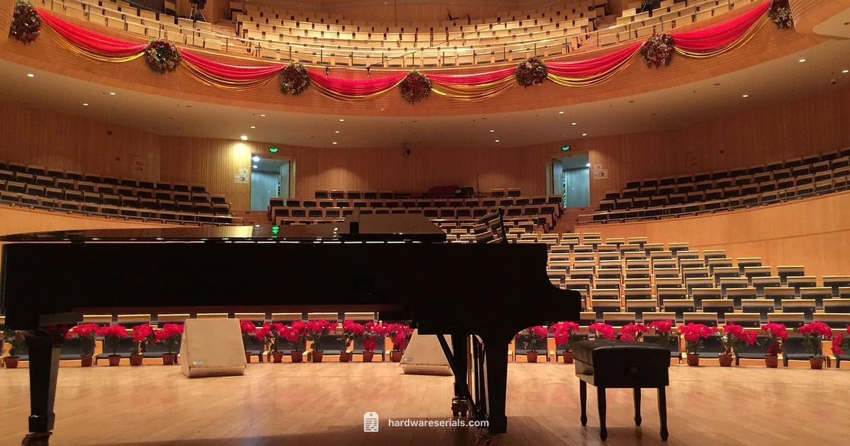 Steinway Serial Lookup - Hardware Serials