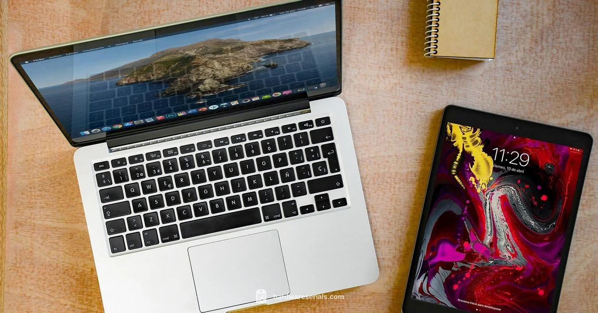 iPad Serial Lookups iPad Serial Lookups - Hardware Serials