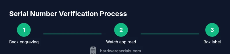 Process diagram showing serial number lookup steps