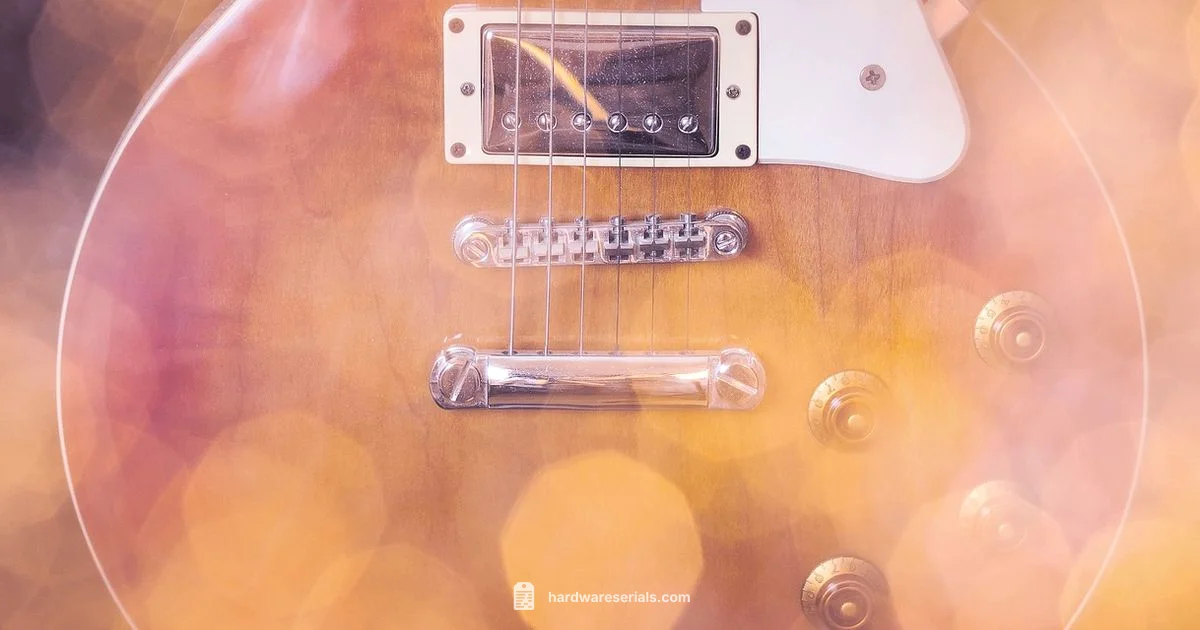 Les Paul Serial Decode Les Paul Serial Decode - Hardware Serials