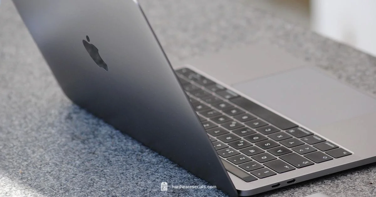 MacBook Serial Lookup MacBook Serial Lookup - Hardware Serials