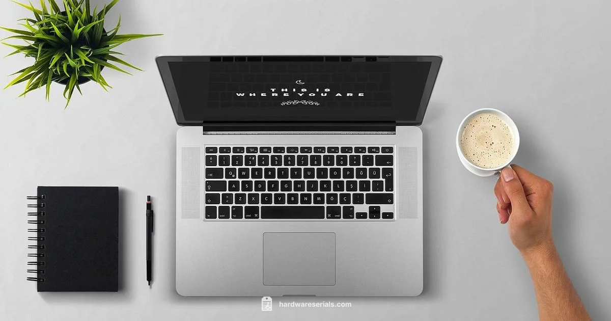 Laptop Serial Overview - Hardware Serials